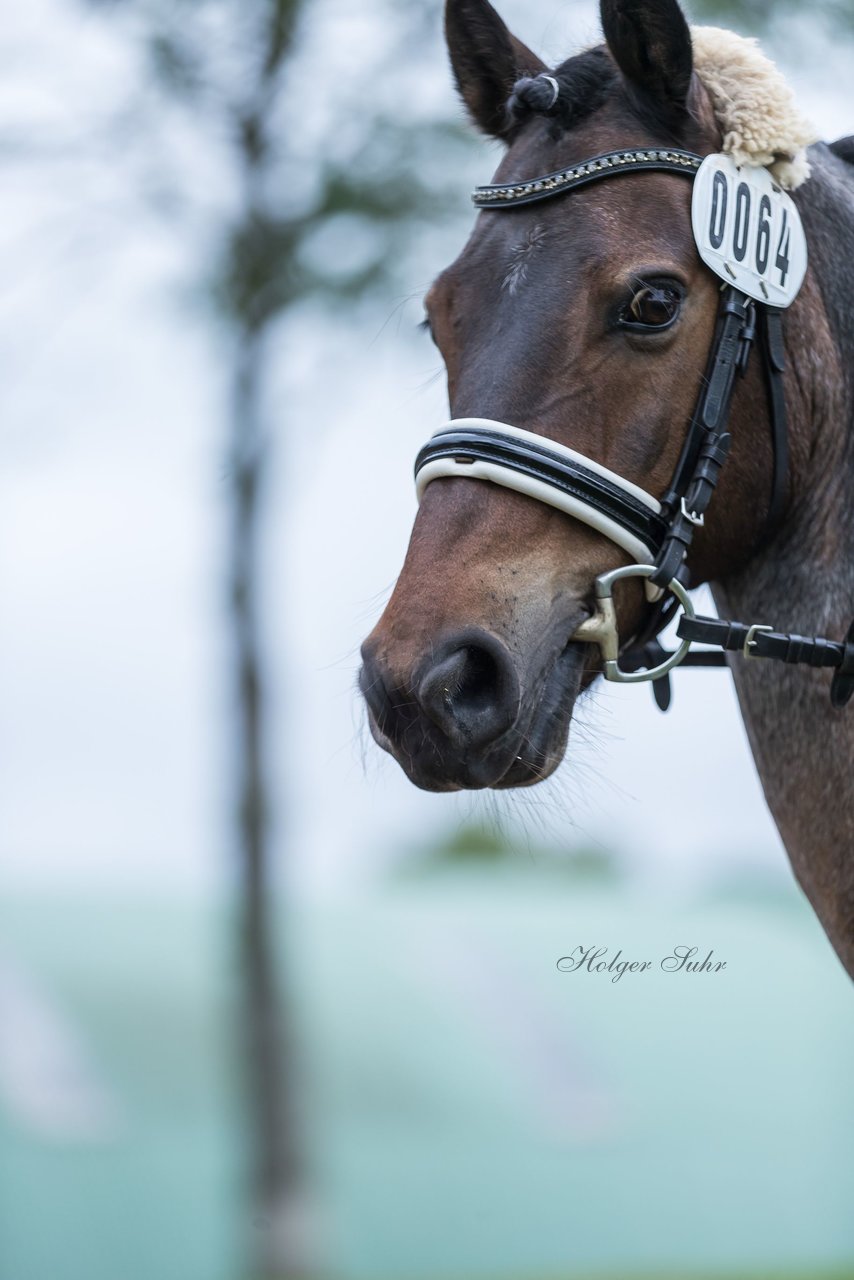 Bild 511 - Pony Akademie Turnier